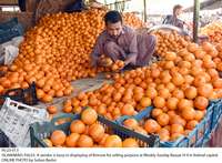 Filename=Pic23-013~18.jpg
Filesize=411KiB
Dimensions=1800x1326
Date added=Feb 23, 2020 Pic23-013~18.jpg