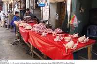 Filename=Pic23-014~8.jpg
Filesize=152KiB
Dimensions=1000x662
Date added=Feb 23, 2019 Pic23-014~8.jpg