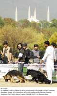 Filename=Pic23-020~20.jpg
Filesize=282KiB
Dimensions=1178x1986
Date added=Feb 23, 2020 Pic23-020~20.jpg