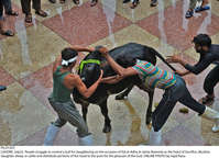 Filename=Pic23-023~35.jpg
Filesize=502KiB
Dimensions=2047x1480
Date added=Jul 23, 2021 Pic23-023~35.jpg