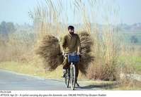 Filename=Pic23-024~0.jpg
Filesize=147KiB
Dimensions=1000x694
Date added=Apr 23, 2018 Pic23-024~0.jpg