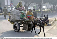Filename=Pic23-026~27.jpg
Filesize=346KiB
Dimensions=2047x1397
Date added=Dec 23, 2020 Pic23-026~27.jpg