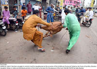 Filename=Pic23-030~34.jpg
Filesize=450KiB
Dimensions=2047x1477
Date added=Jul 23, 2021 Pic23-030~34.jpg
