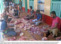 Filename=Pic23-032~34.jpg
Filesize=414KiB
Dimensions=2047x1479
Date added=Jul 23, 2021 Pic23-032~34.jpg