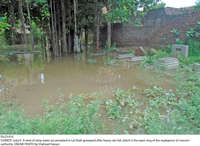 Filename=Pic23-033~34.jpg
Filesize=461KiB
Dimensions=2047x1496
Date added=Jul 23, 2021 Pic23-033~34.jpg