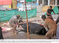 Filename=Pic23-041~34.jpg
Filesize=488KiB
Dimensions=2047x1495
Date added=Jul 23, 2021 Pic23-041~34.jpg