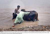 Filename=Pic24-015~25.jpg
Filesize=317KiB
Dimensions=2047x1397
Date added=Jul 24, 2020 Pic24-015~25.jpg