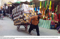 Filename=Pic24-017~31.jpg
Filesize=500KiB
Dimensions=2048x1355
Date added=Dec 24, 2020 Pic24-017~31.jpg