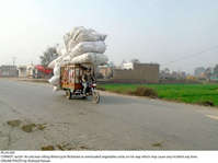 Filename=Pic24-020~32.jpg
Filesize=264KiB
Dimensions=2047x1532
Date added=Jan 24, 2021 Pic24-020~32.jpg