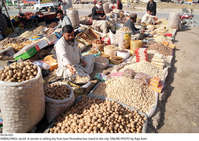 Filename=Pic24-022~32.jpg
Filesize=605KiB
Dimensions=2047x1447
Date added=Jan 24, 2021 Pic24-022~32.jpg