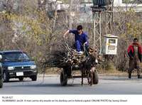 Filename=Pic24-027~21.jpg
Filesize=439KiB
Dimensions=1800x1332
Date added=Jan 24, 2020 Pic24-027~21.jpg