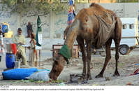 Filename=Pic24-045~30.jpg
Filesize=394KiB
Dimensions=2047x1335
Date added=Jan 24, 2021 Pic24-045~30.jpg