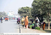 Filename=Pic24-049~30.jpg
Filesize=420KiB
Dimensions=2048x1419
Date added=Jan 24, 2021 Pic24-049~30.jpg