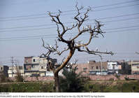 Filename=Pic24-050~31.jpg
Filesize=349KiB
Dimensions=2047x1437
Date added=Jan 24, 2021 Pic24-050~31.jpg