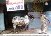 Filename=Pic24-051~25.jpg
Filesize=315KiB
Dimensions=2048x1487
Date added=Jul 24, 2020 Pic24-051~25.jpg