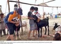 Filename=Pic25-030~25.jpg
Filesize=357KiB
Dimensions=2048x1476
Date added=Jul 25, 2020 Pic25-030~25.jpg