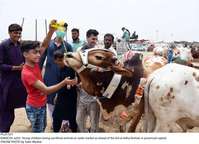 Filename=Pic25-031~25.jpg
Filesize=295KiB
Dimensions=2047x1481
Date added=Jul 25, 2020 Pic25-031~25.jpg