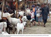 Filename=Pic25-032~25.jpg
Filesize=422KiB
Dimensions=2047x1479
Date added=Jul 25, 2020 Pic25-032~25.jpg
