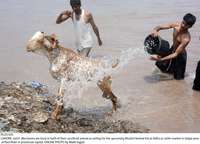 Filename=Pic25-035~25.jpg
Filesize=324KiB
Dimensions=2048x1476
Date added=Jul 25, 2020 Pic25-035~25.jpg
