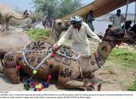 Filename=Pic25-037~25.jpg
Filesize=427KiB
Dimensions=2047x1483
Date added=Jul 25, 2020 Pic25-037~25.jpg