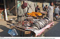 Filename=Pic25-051~29.jpg
Filesize=521KiB
Dimensions=2048x1354
Date added=Dec 25, 2020 Pic25-051~29.jpg