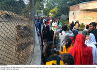 Filename=Pic25-104~3.jpg
Filesize=587KiB
Dimensions=2048x1477
Date added=Dec 25, 2020 Pic25-104~3.jpg