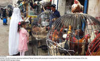 Filename=Pic26-003~30.jpg
Filesize=489KiB
Dimensions=2048x1244
Date added=Dec 26, 2020 Pic26-003~30.jpg