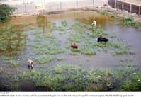 Filename=Pic26-005~26.jpg
Filesize=386KiB
Dimensions=2048x1408
Date added=Jul 26, 2020 Pic26-005~26.jpg