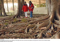 Filename=Pic26-019~28.jpg
Filesize=559KiB
Dimensions=2047x1439
Date added=Dec 26, 2020 Pic26-019~28.jpg