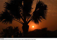 Filename=Pic26-023~30.jpg
Filesize=212KiB
Dimensions=2048x1437
Date added=Dec 26, 2020 Pic26-023~30.jpg