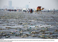 Filename=Pic26-048~26.jpg
Filesize=412KiB
Dimensions=2048x1471
Date added=Nov 26, 2020 Pic26-048~26.jpg