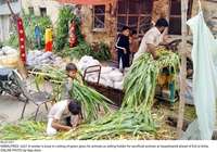 Filename=Pic27-011~26.jpg
Filesize=438KiB
Dimensions=2048x1436
Date added=Jul 27, 2020 Pic27-011~26.jpg