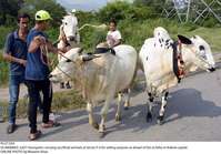Filename=Pic27-024~27.jpg
Filesize=399KiB
Dimensions=2048x1430
Date added=Jul 27, 2020 Pic27-024~27.jpg