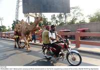 Filename=Pic27-081~7.jpg
Filesize=300KiB
Dimensions=2047x1448
Date added=Jul 27, 2020 Pic27-081~7.jpg