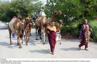 Filename=Pic28-035~27.jpg
Filesize=377KiB
Dimensions=2047x1359
Date added=Jul 28, 2020 Pic28-035~27.jpg