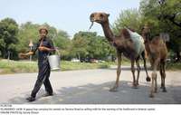 Filename=Pic28-036~27.jpg
Filesize=327KiB
Dimensions=2047x1300
Date added=Jul 28, 2020 Pic28-036~27.jpg