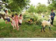 Filename=Pic28-042~27.jpg
Filesize=614KiB
Dimensions=2047x1479
Date added=Jul 28, 2020 Pic28-042~27.jpg