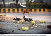 Filename=Pic28-055~20.jpg
Filesize=292KiB
Dimensions=2048x1453
Date added=Apr 28, 2020 Pic28-055~20.jpg