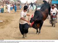Filename=Pic28-087~3.jpg
Filesize=278KiB
Dimensions=2047x1497
Date added=Jul 28, 2020 Pic28-087~3.jpg