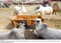 Filename=Pic29-002~27.jpg
Filesize=341KiB
Dimensions=2048x1441
Date added=Jul 29, 2020 Pic29-002~27.jpg