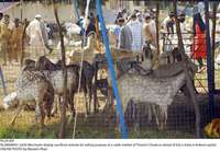 Filename=Pic29-005~27.jpg
Filesize=400KiB
Dimensions=2047x1414
Date added=Jul 29, 2020 Pic29-005~27.jpg