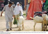 Filename=Pic29-006~27.jpg
Filesize=259KiB
Dimensions=2047x1455
Date added=Jul 29, 2020 Pic29-006~27.jpg