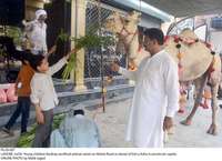 Filename=Pic29-007~26.jpg
Filesize=325KiB
Dimensions=2048x1487
Date added=Jul 29, 2020 Pic29-007~26.jpg