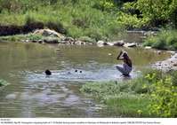 Filename=Pic29-021~24.jpg
Filesize=444KiB
Dimensions=2048x1454
Date added=Apr 29, 2020 Pic29-021~24.jpg