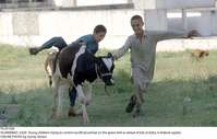 Filename=Pic29-028~27.jpg
Filesize=218KiB
Dimensions=2047x1305
Date added=Jul 29, 2020 Pic29-028~27.jpg