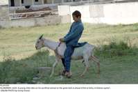 Filename=Pic29-029~29.jpg
Filesize=235KiB
Dimensions=2047x1359
Date added=Jul 29, 2020 Pic29-029~29.jpg