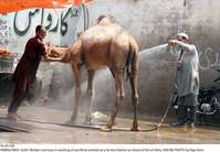 Filename=Pic29-036~27.jpg
Filesize=311KiB
Dimensions=2048x1418
Date added=Jul 29, 2020 Pic29-036~27.jpg