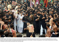 Filename=Pic29-048~26.jpg
Filesize=478KiB
Dimensions=2047x1460
Date added=Aug 29, 2020 Pic29-048~26.jpg