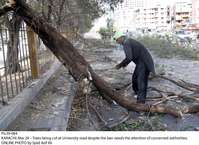 Filename=Pic29-084.jpg
Filesize=211KiB
Dimensions=1000x727
Date added=Mar 29, 2018 Pic29-084.jpg