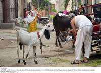 Filename=Pic30-054~22.jpg
Filesize=297KiB
Dimensions=2047x1484
Date added=Jul 30, 2020 Pic30-054~22.jpg